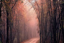 克罗地亚vs巴西的比赛有哪些精彩回放瞬间？