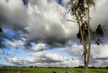 哪里能看五星体育在线直播高清无插件？