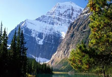 欧冠ds足球是什么？它能为球迷带来哪些独特体验？